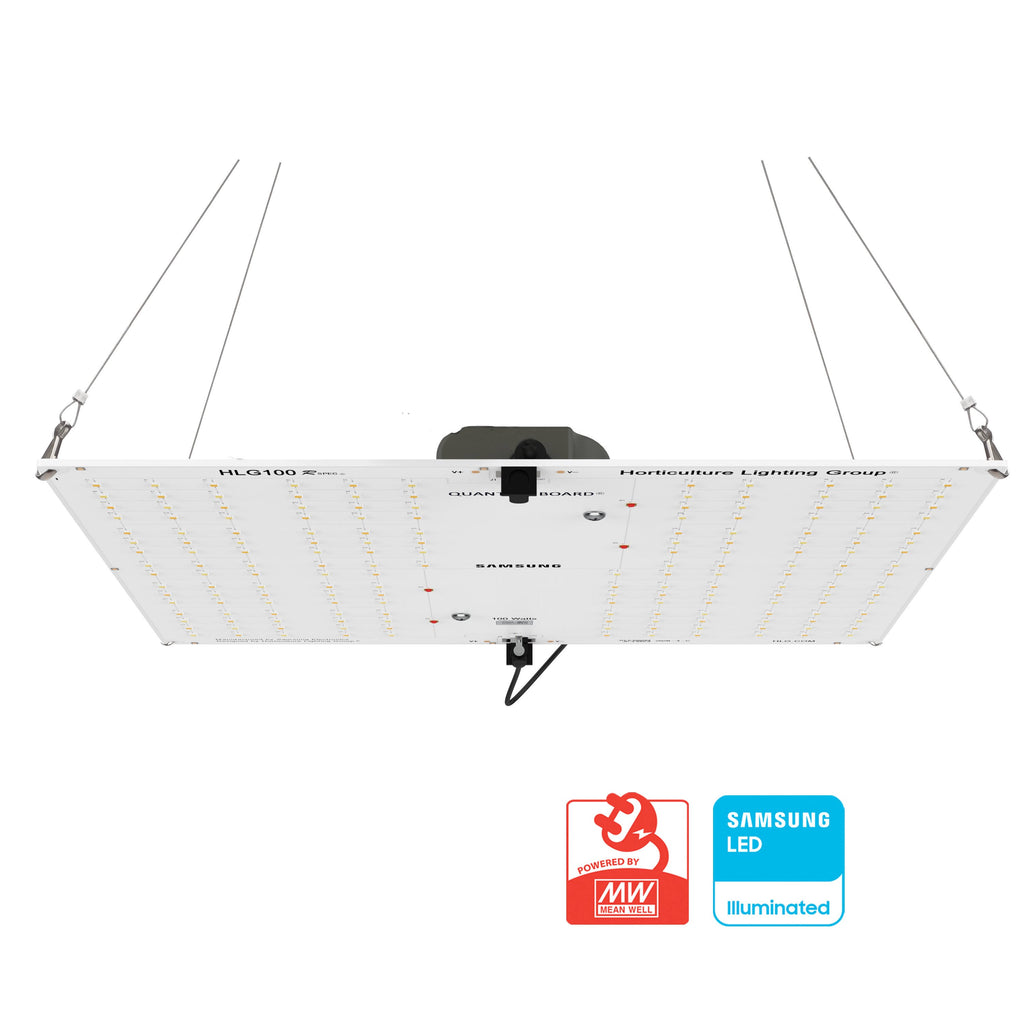 LED Fixture P23700