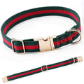 Adjustable Dog Collar with Metal Buckle D6902