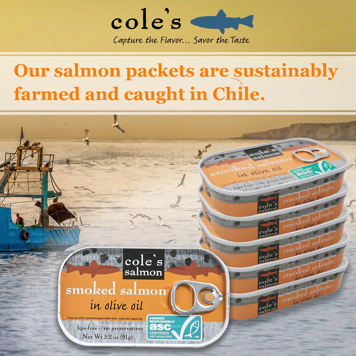 Canned Smoked Salmon in Extra Virgin Olive Oil, 3.2 oz (5 Pack) C2050