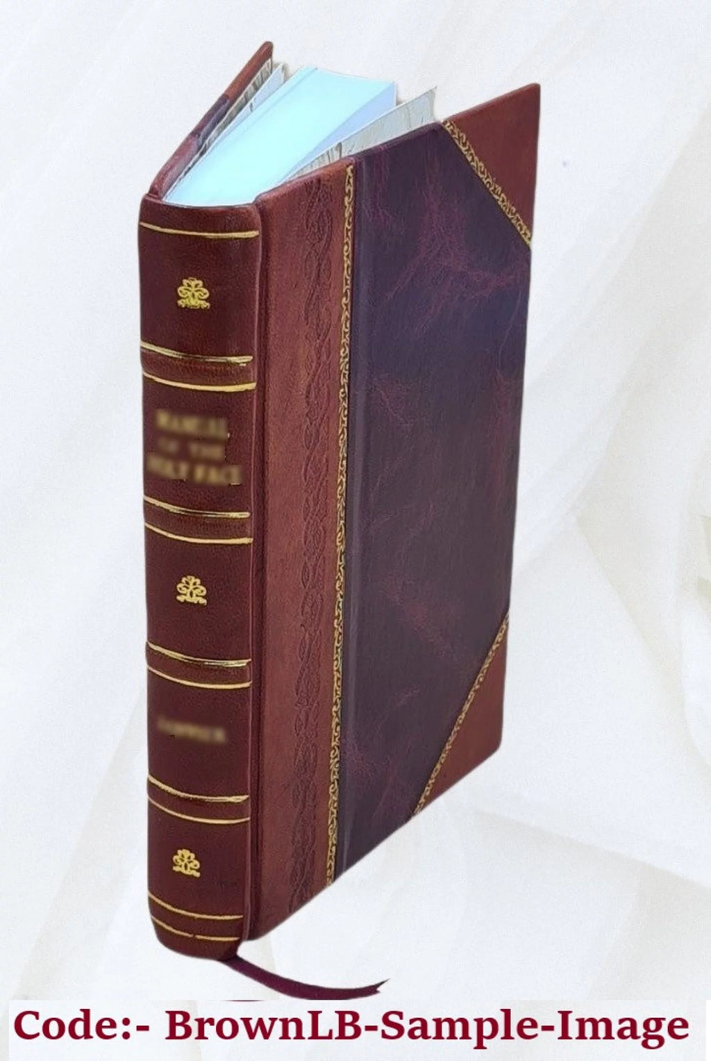 Leather Bound H88218