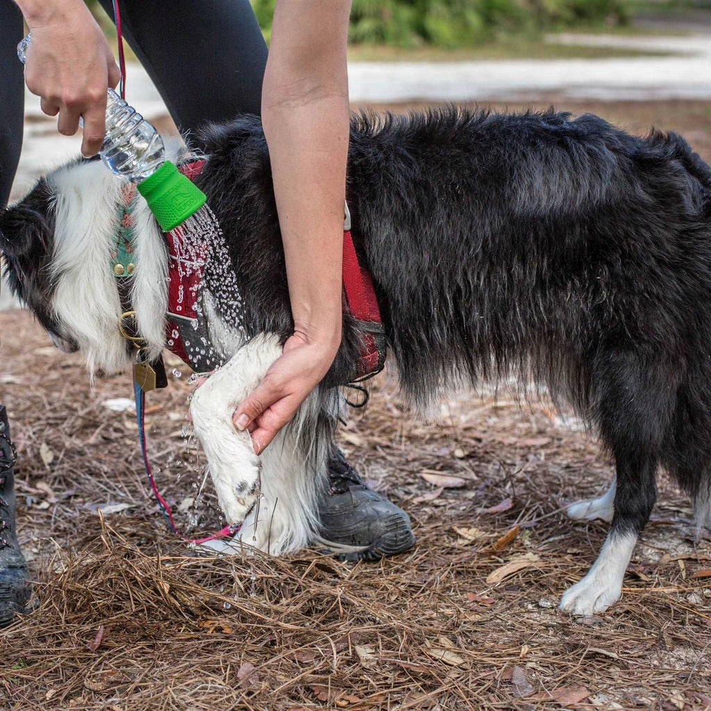 Dog Travel Shower A922