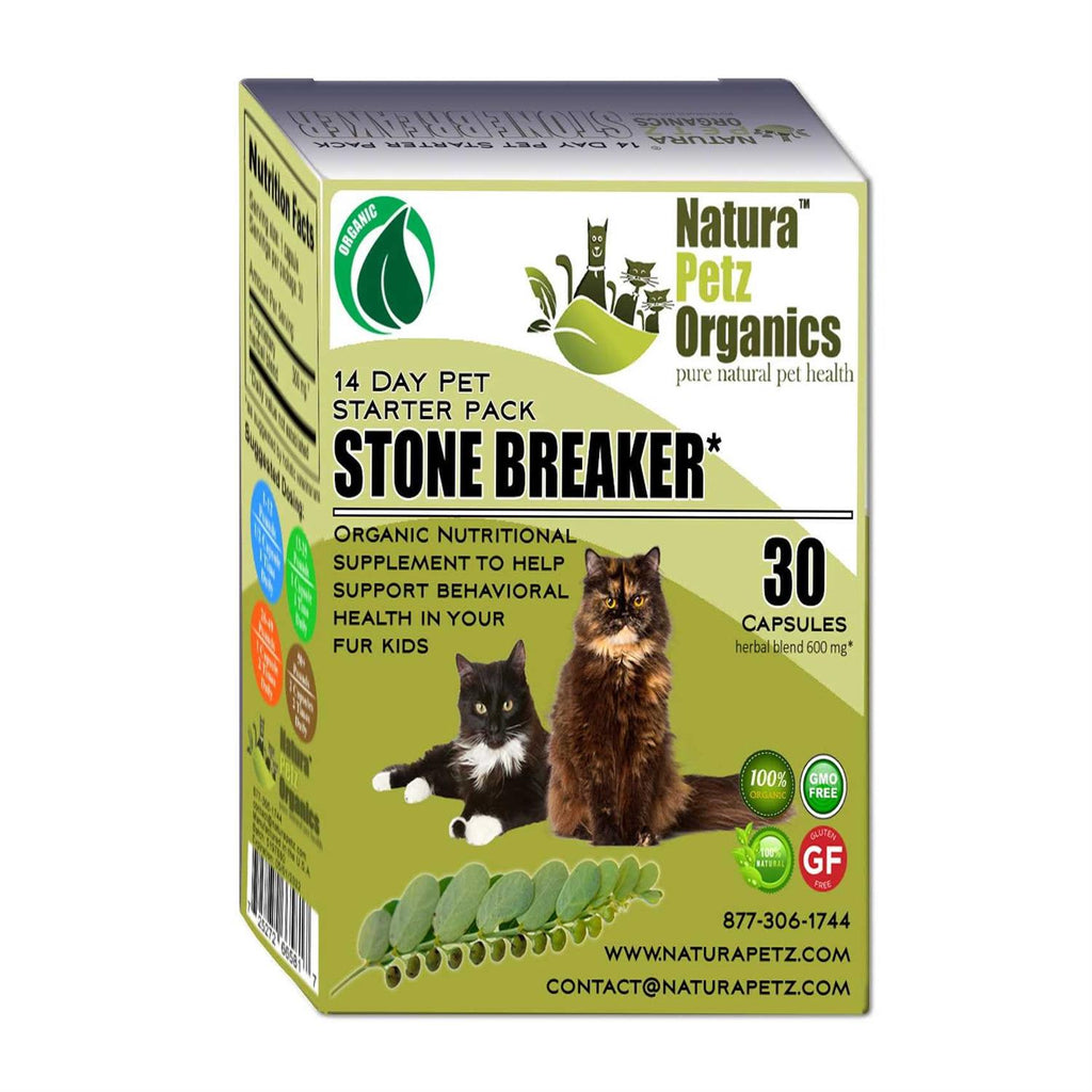 Stone Breaker Starter Pack for Cats I606