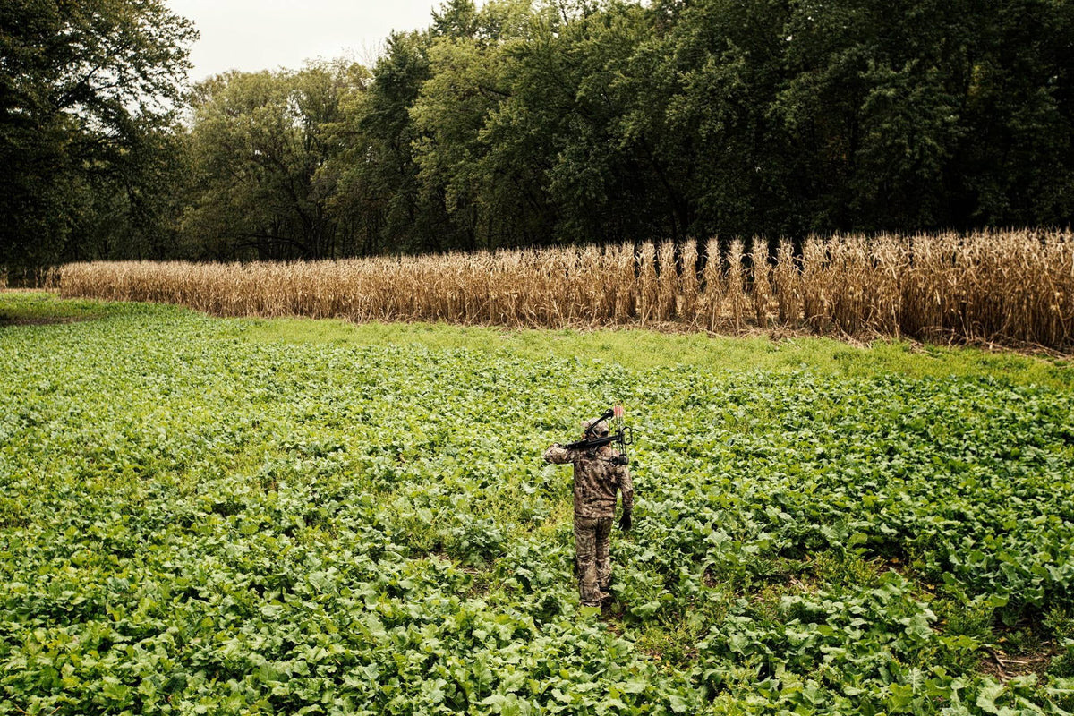 Mega Plot Hunter Series Wild Game Food Plot Seed H312