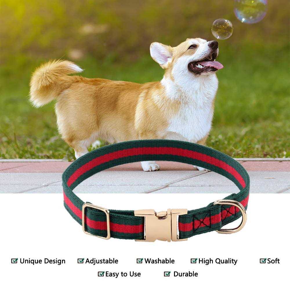Adjustable Dog Collar with Metal Buckle D6902