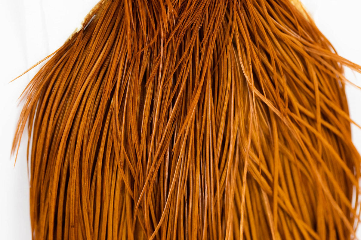 Silver Cape Medium Ginger A172999