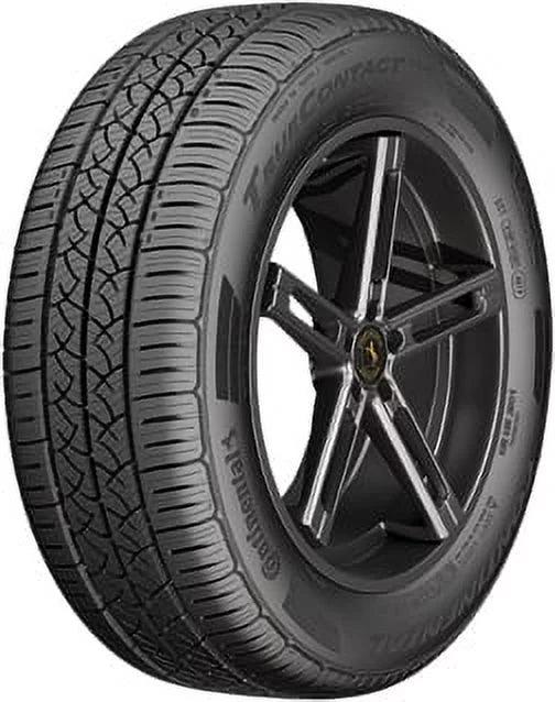 205/60R16 92 H All-Season Passenger Tire P207