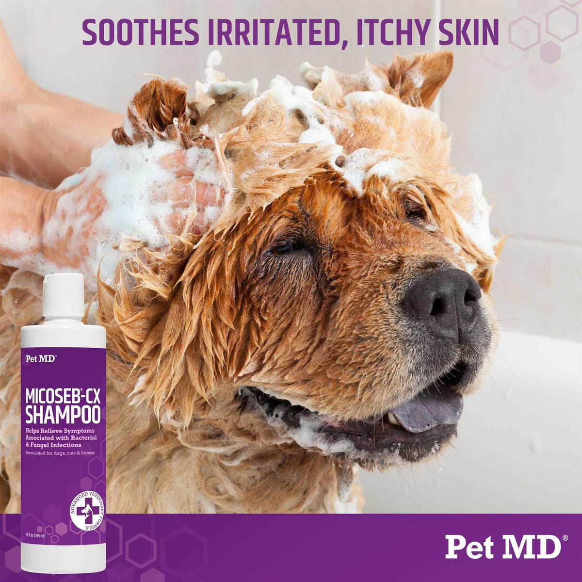 Medicated Shampoo for Dogs J13760