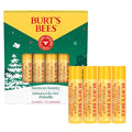 4 Pack Fruit Lip Balm G6513