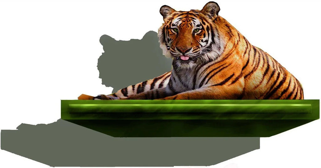 3-D Floating Tiger Wall Decor Decal P619073