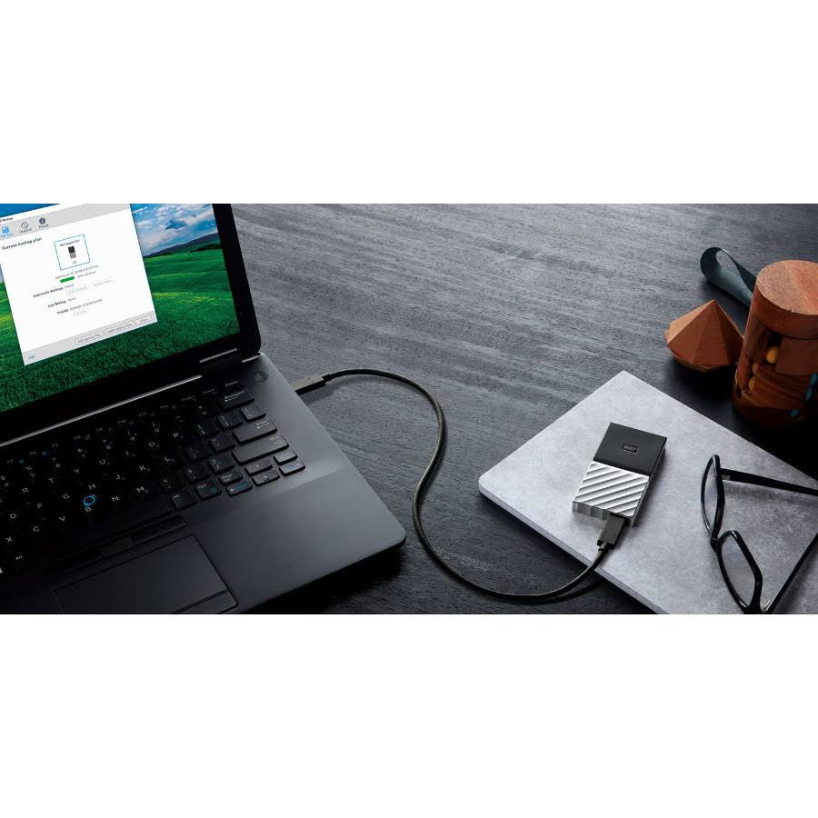 1024 GB External SSD W963040