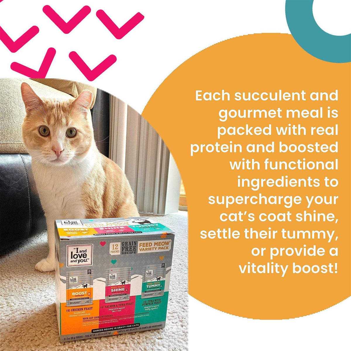 Tummy Formula Wet Cat Food with Tuna and Pumpkin I991