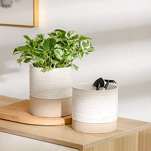 6 Inch Ceramic Self Watering Plant Pot with Drainage Hole C2335