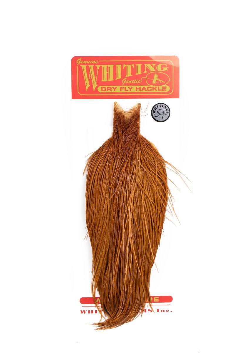 Silver Cape Medium Ginger A172999