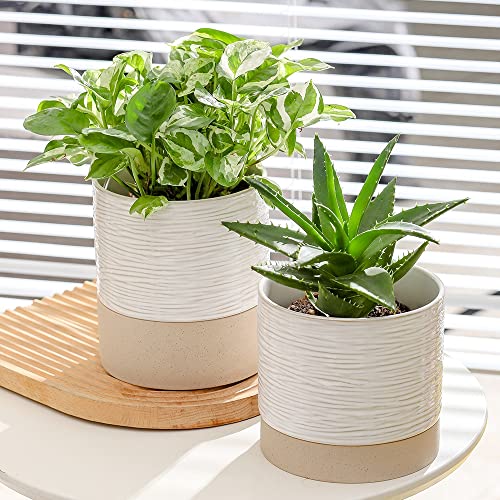 6 Inch Ceramic Self Watering Plant Pot with Drainage Hole C2335