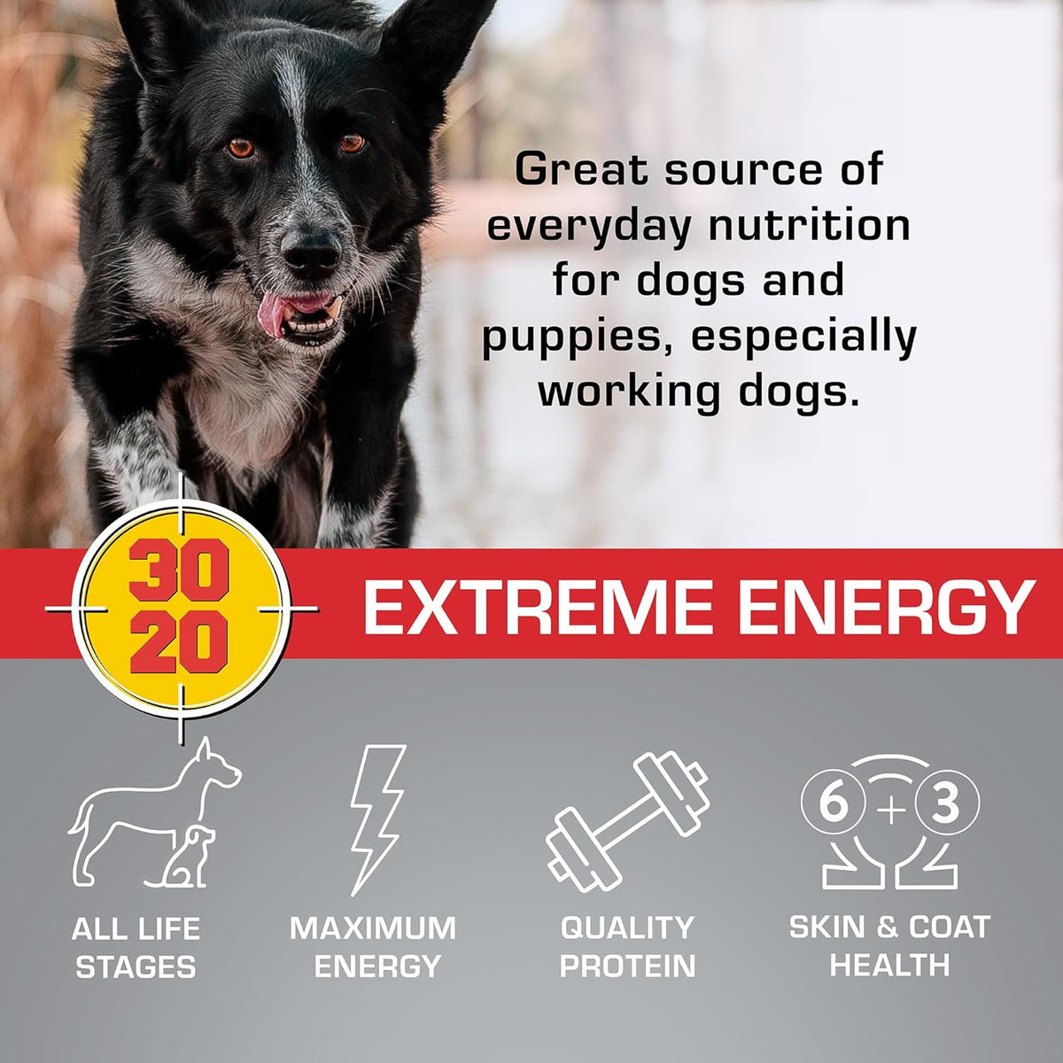 Extreme Energy Dry Dog Food D648