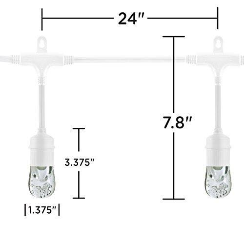 Classic LED Cafe Lights 12 Bulbs 24 ft. White Cord and 12 Stainless Steel Cage Shades A22509