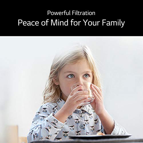 White Replacement Refrigerator Water Filter V703805