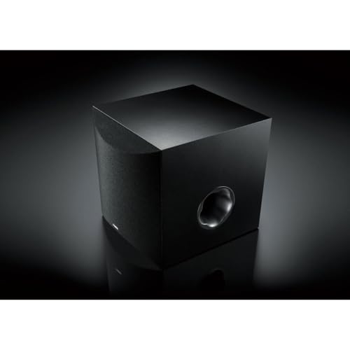 10" 100W Powered Subwoofer Black G20341