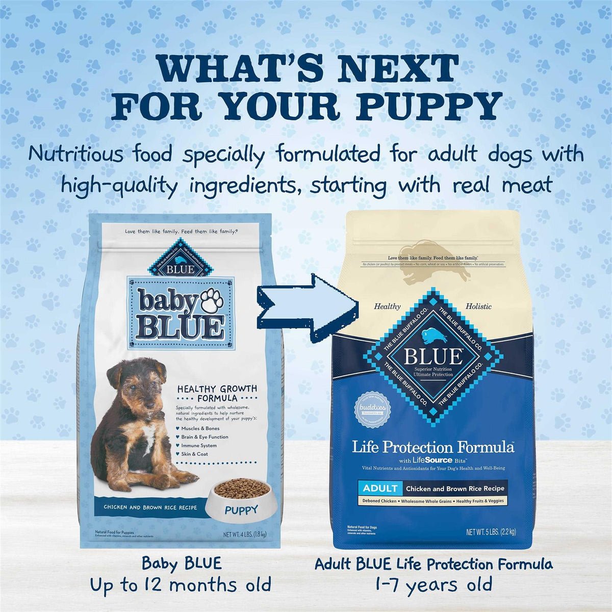 Chicken and Brown Rice Puppy Dry Dog Food P37706