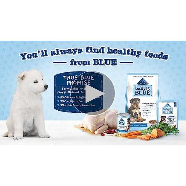 Chicken and Brown Rice Puppy Dry Dog Food P37706