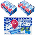 Sugar Free Xylitol Chewing Gum, 14 Sticks per Pack, 24 Pack U638471