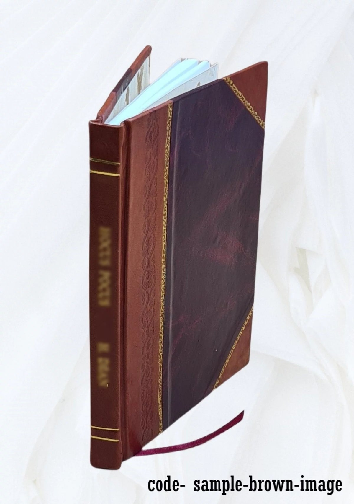 Leather Bound P491