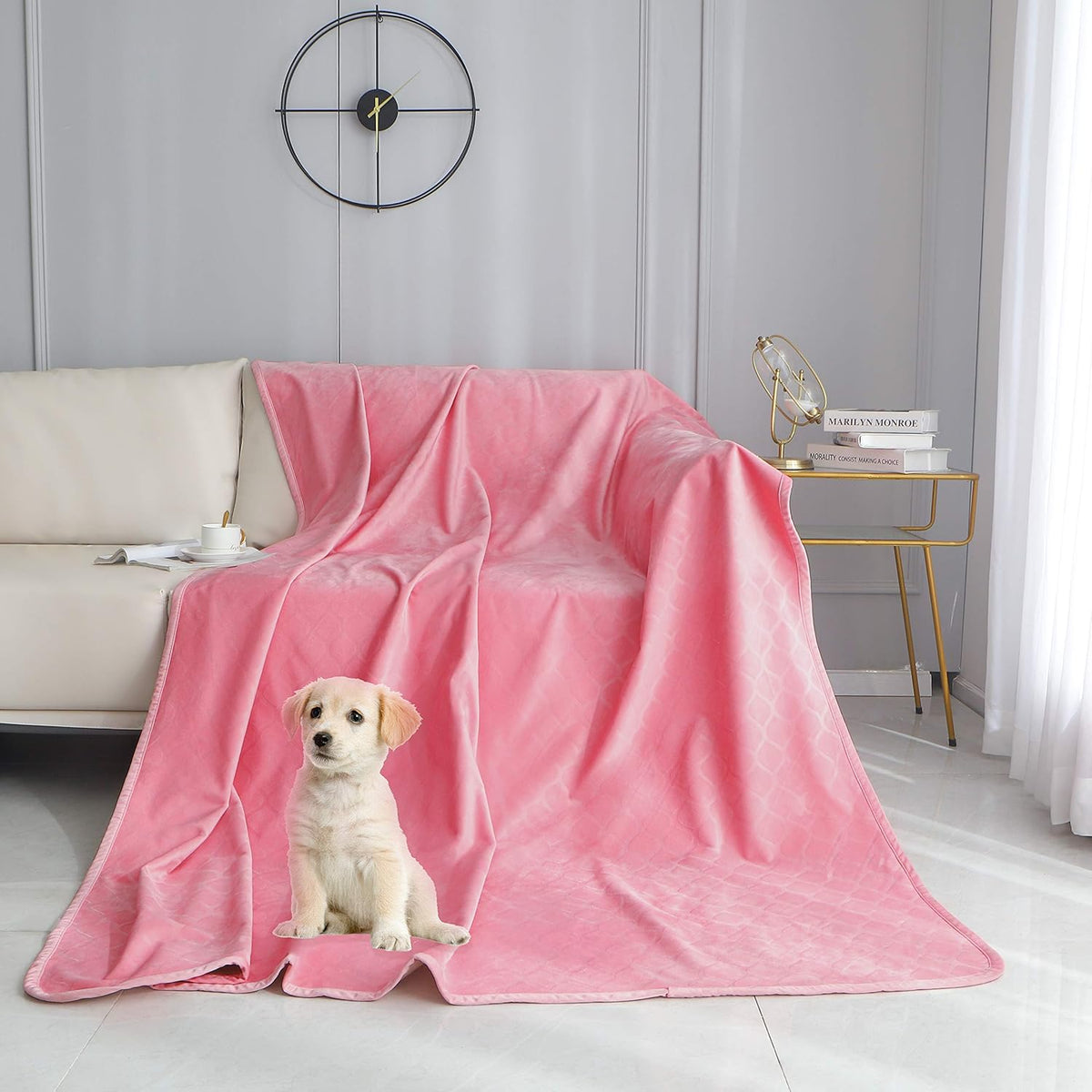 Waterproof Dog Blanket Bed Cover Crystal Velvet Plush Pet Blanket H506168
