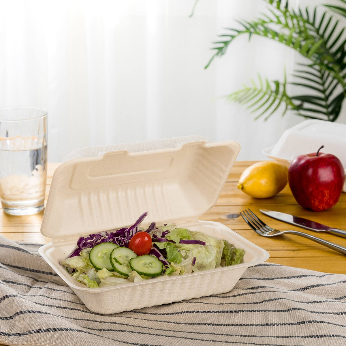 8 in. White Sugarcane Clamshell Containers (300 Pack) O6036