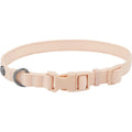 Dog Collar T492707