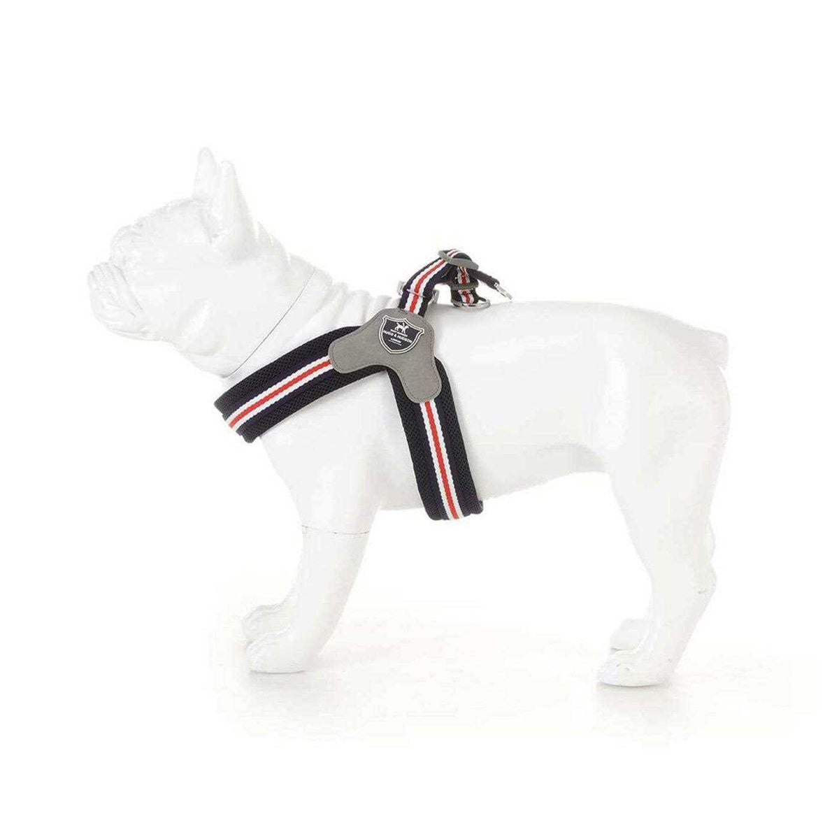 Dog Harness G72375