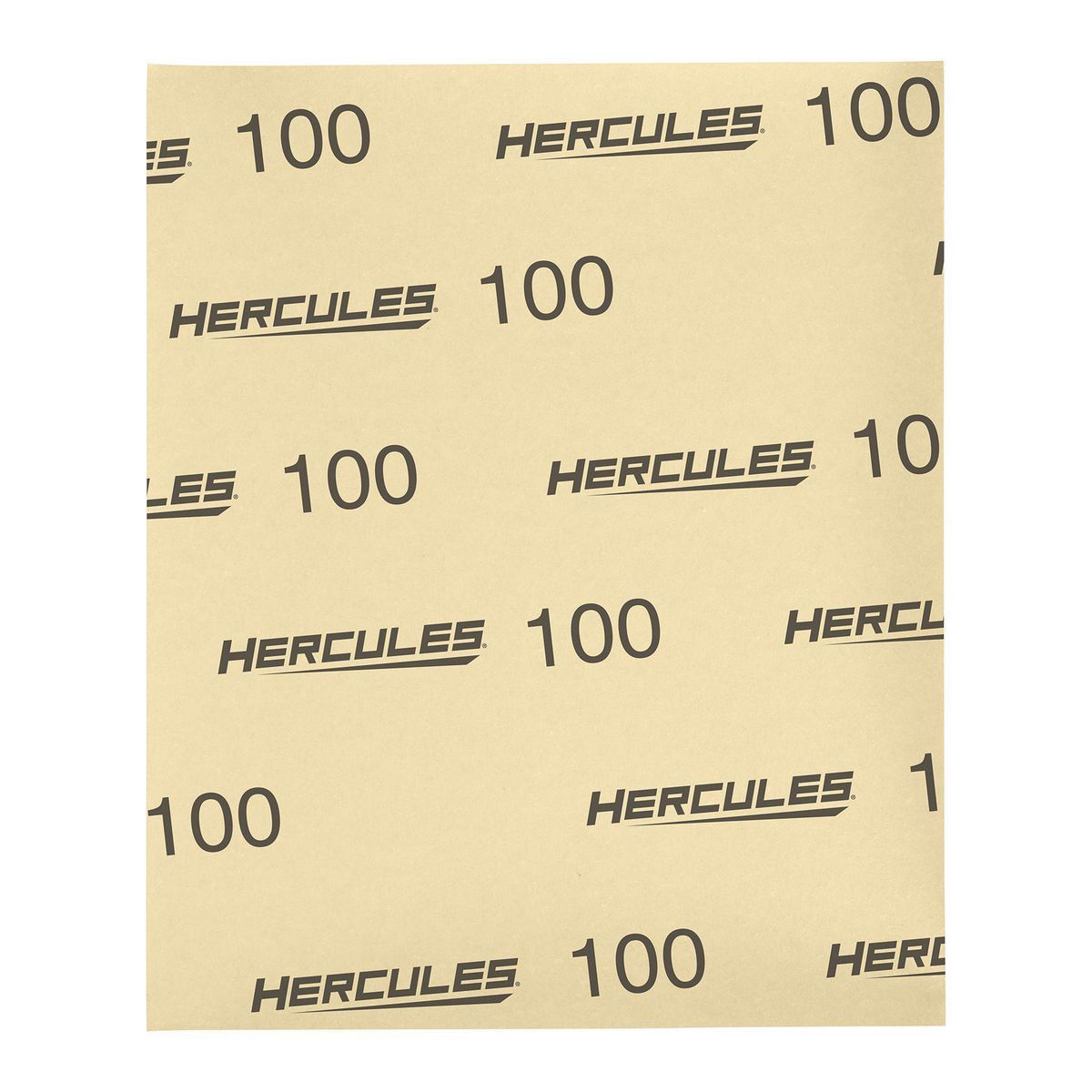 100-Grit Dry Sanding Sheets 5-Pack T5020