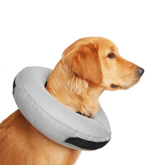 Inflatable Dog Collar J5220