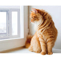 Aluminum Sash Pet Door M46989