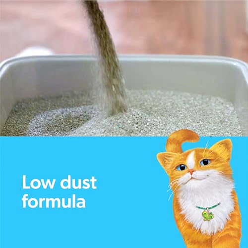 Clumping Cat Litter with Activated Charcoal, 14 lb C16633