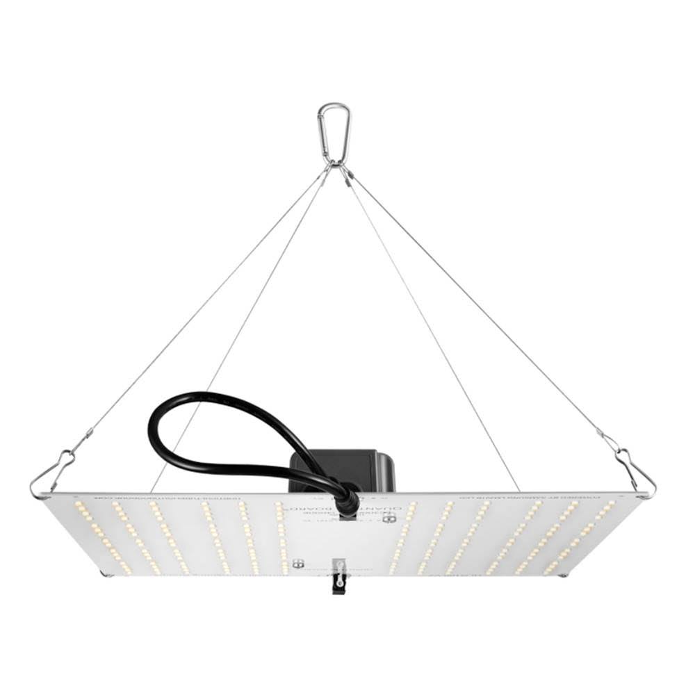 LED Fixture P23700