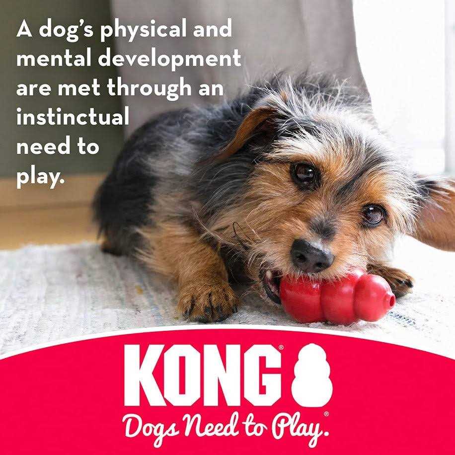 Monkey Dog Toy S680