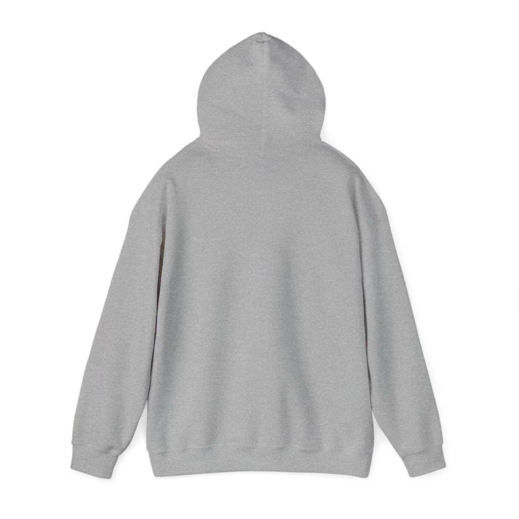Hoodie Hooded Sweatshirt Pullover Shirt J3176