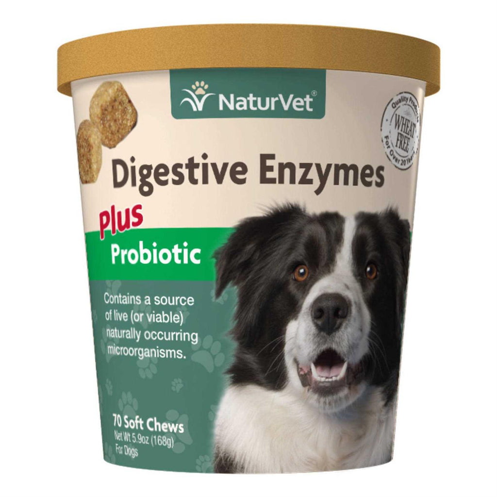 Digestive Enzymes N3843