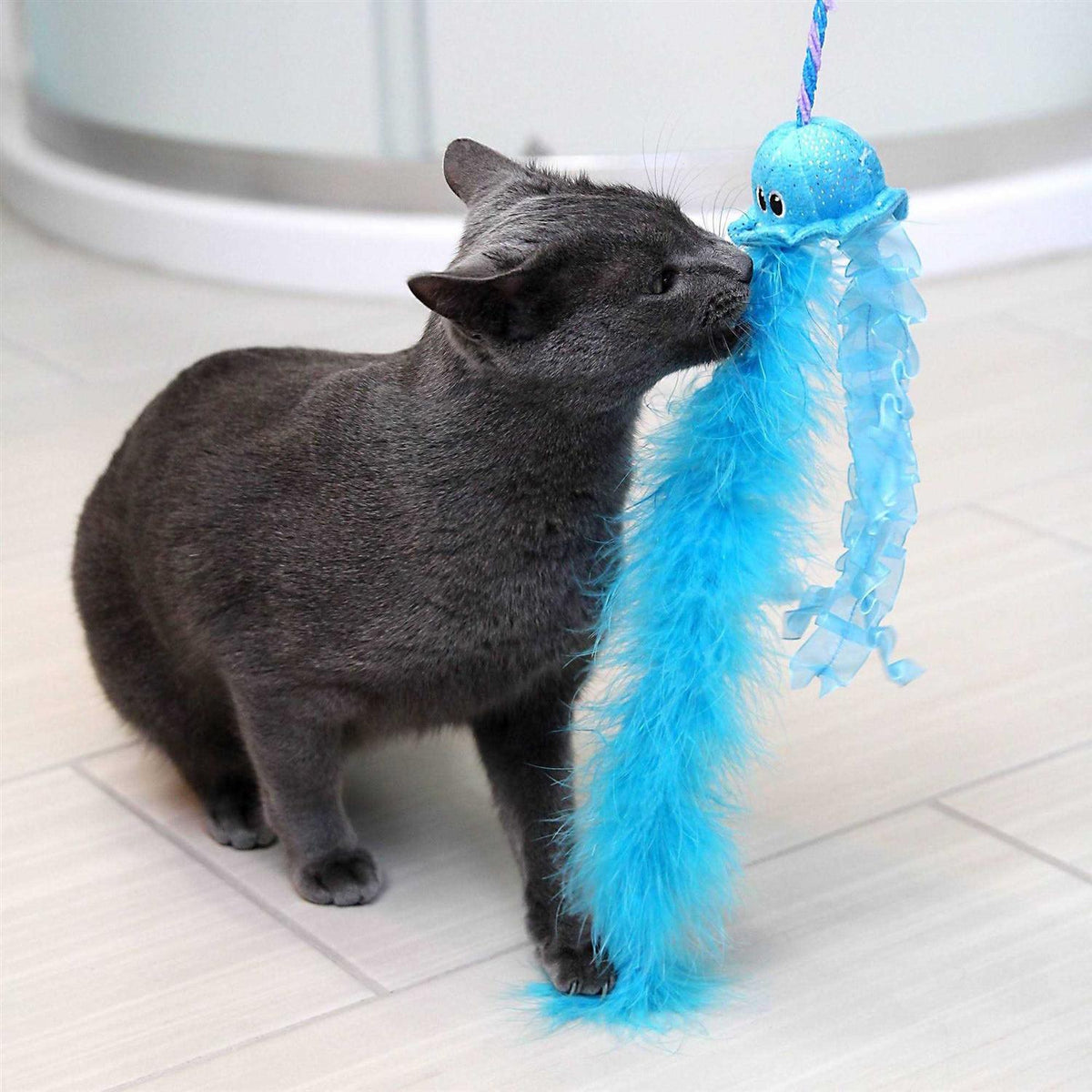 Cat Toy C784