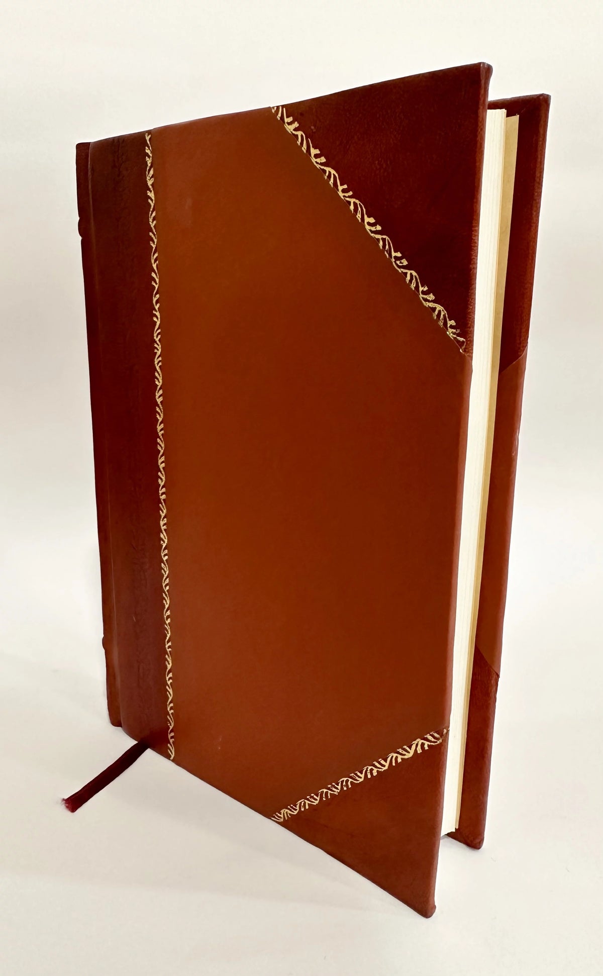 Self-Preparation for the Final Examination Leather Bound F8063