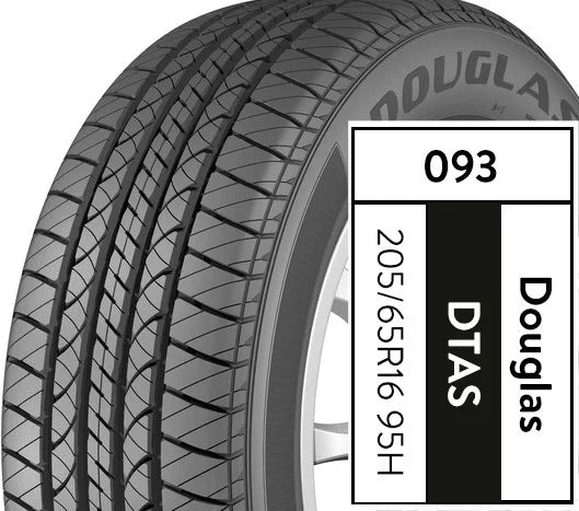 205/65R16 95H All-Season Tire L924