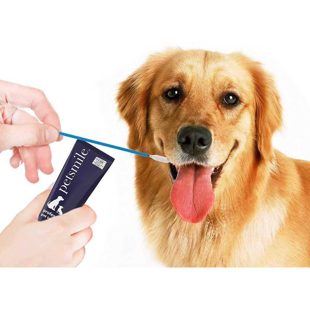 Pet Toothpaste Applicator Swabs M5286