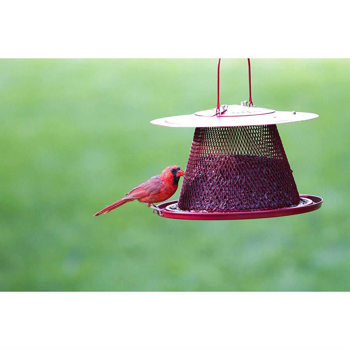 Red Cardinal Bird Feeder N85663