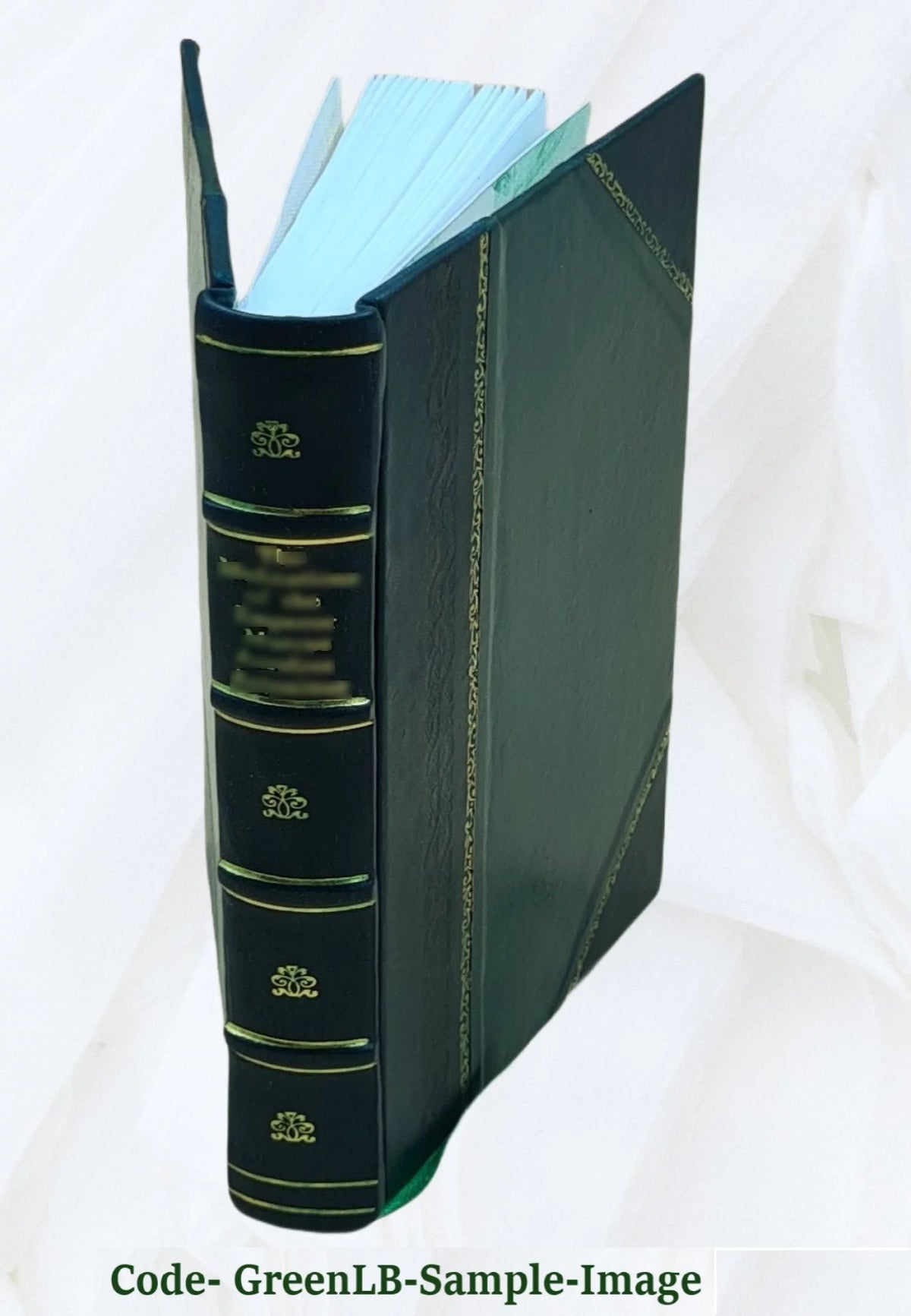 Leather Bound H88218