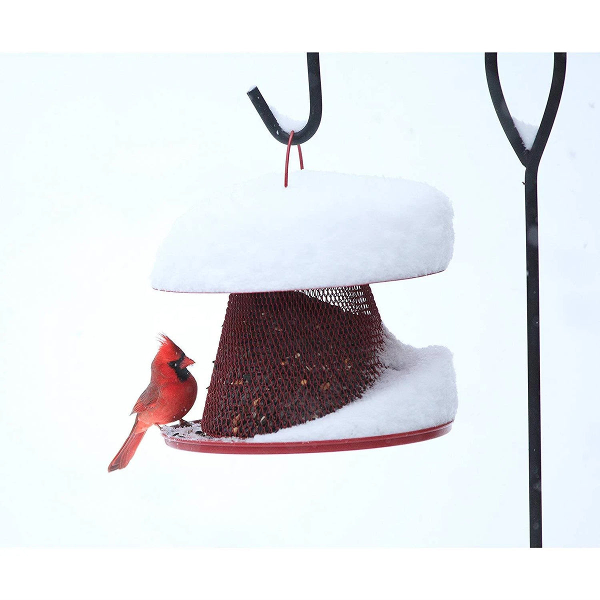 Red Cardinal Bird Feeder N85663