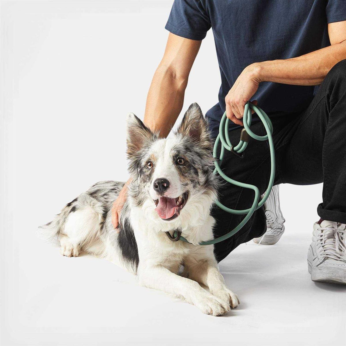 Hands-Free Dog Leash B9257